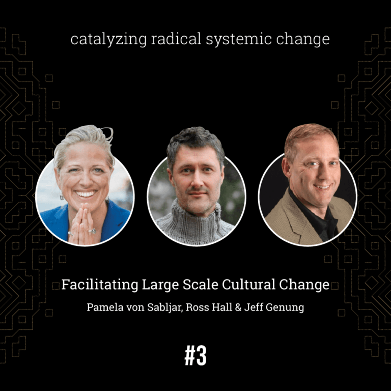 Ross Hall, Jeff Genung & Pamela von Sabljar — Facilitating Large Scale Cultural Change