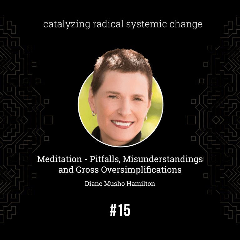 Diane Musho Hamilton — Meditation: Pitfalls, Misunderstandings and Gross Oversimplifications