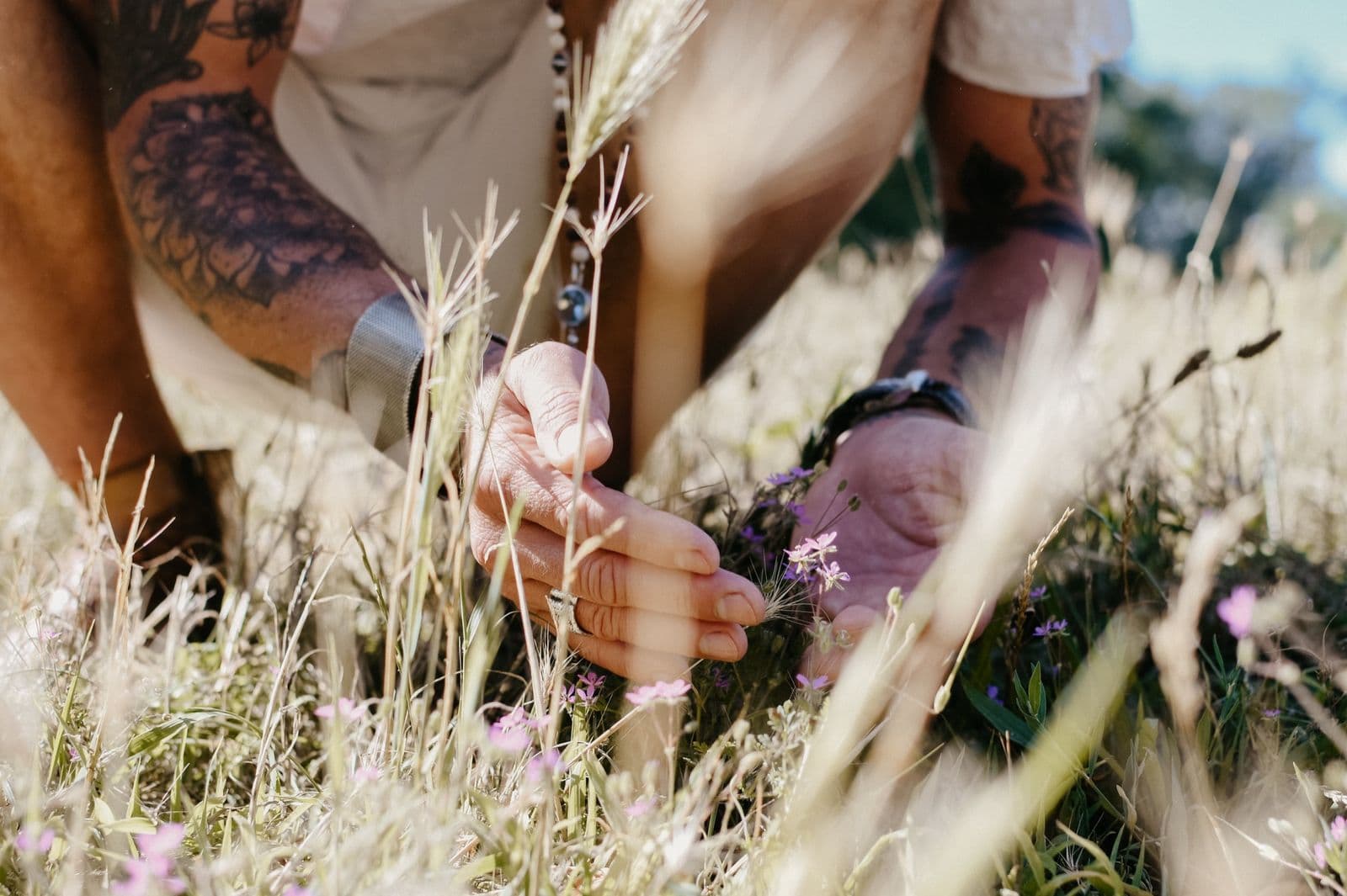Hands touching wild grasses and flowers in a sunlit field
